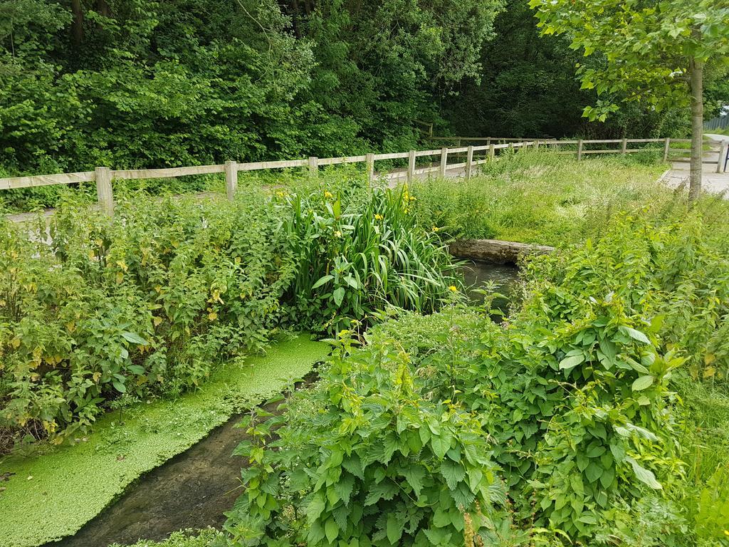 Streamside Apartments Yeovil Luaran gambar